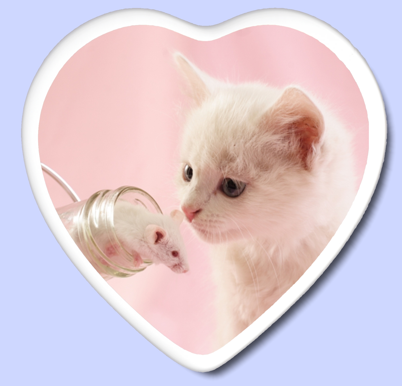 Tiergrabsteinfoto