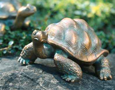 Schildkröte
