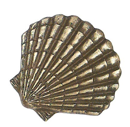 Jakobsmuschel, Pilgermuschel, Muschel, Grabschmuck