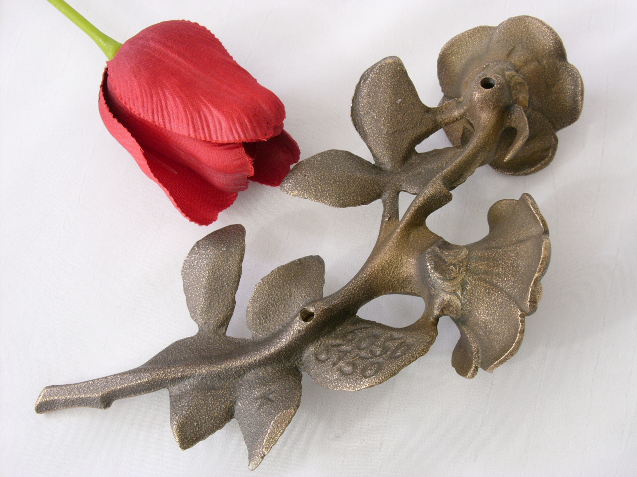 Rose mit zwei Blüten