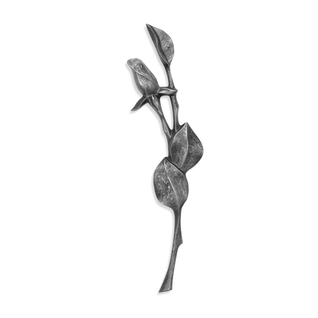 Zweig mit Rosenknospe