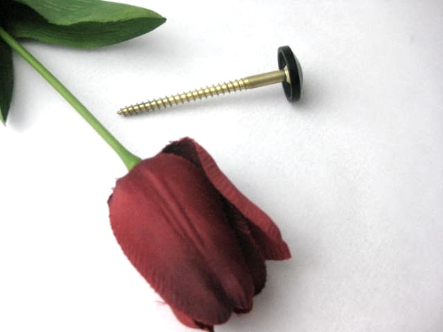 Rosettenschraube Messing 6 cm