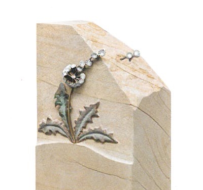 Flugsamen, Doppelsamen, Pusteblume