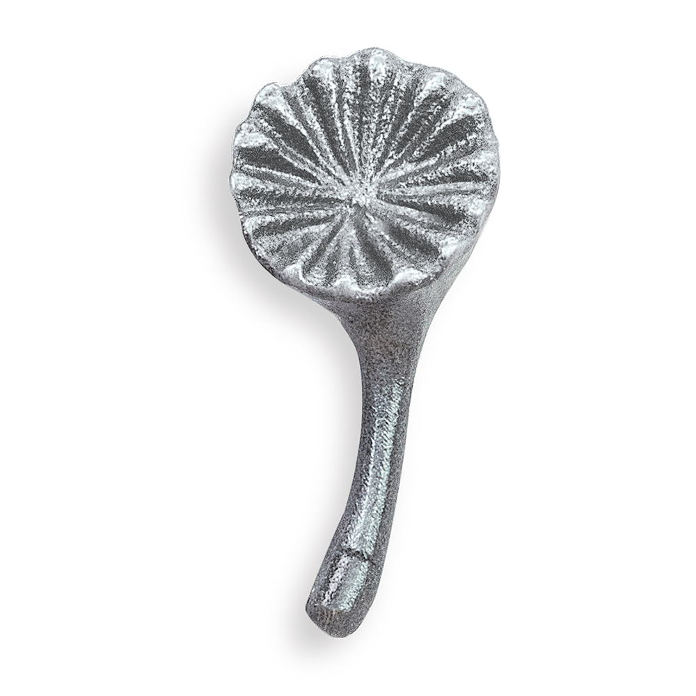 Löwenzahn, Flugsamen, Pusteblume, einzeln