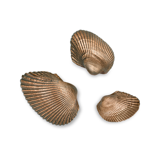Muschel, Herzmuschel, Grabschmuck, maritim, 3 Größen
