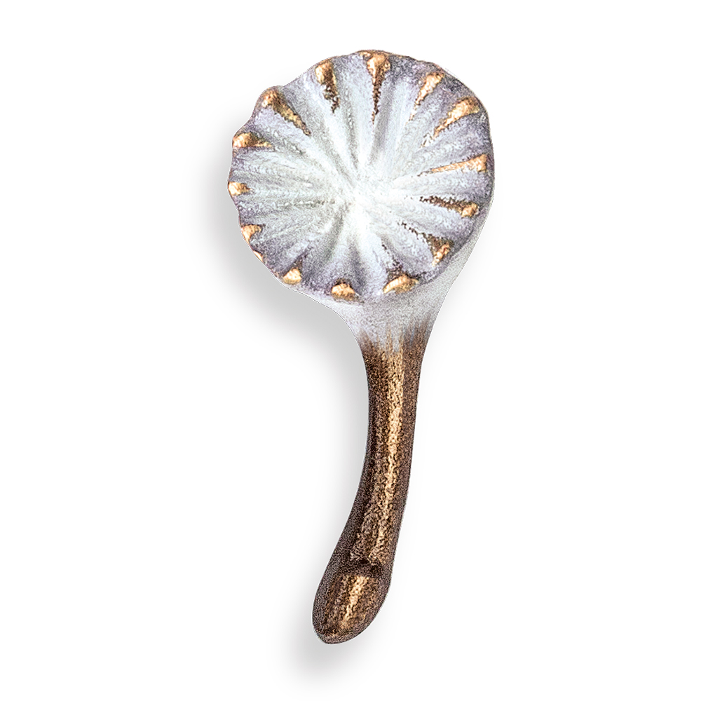 Löwenzahn, Flugsamen, Pusteblume, einzeln