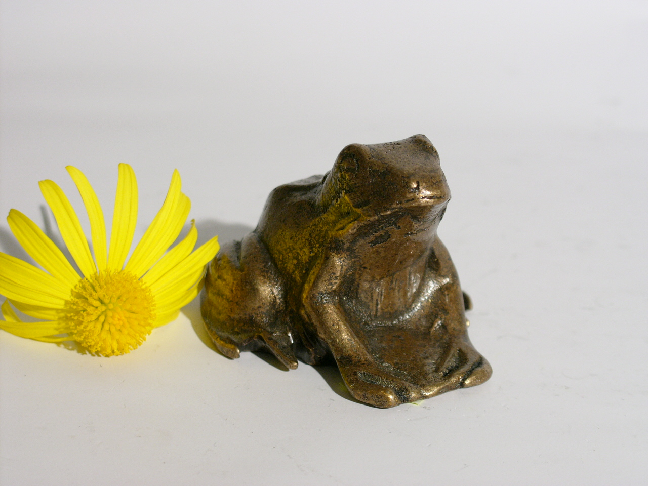 Frosch