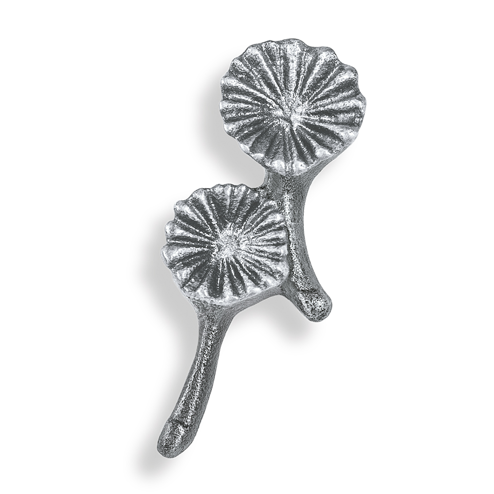 Flugsamen, Doppelsamen, Pusteblume