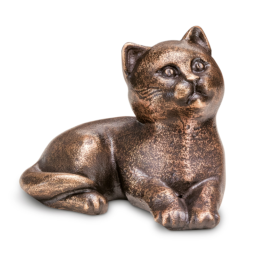 Katze, jung, liegend, Grabschmuck, Tiergrab